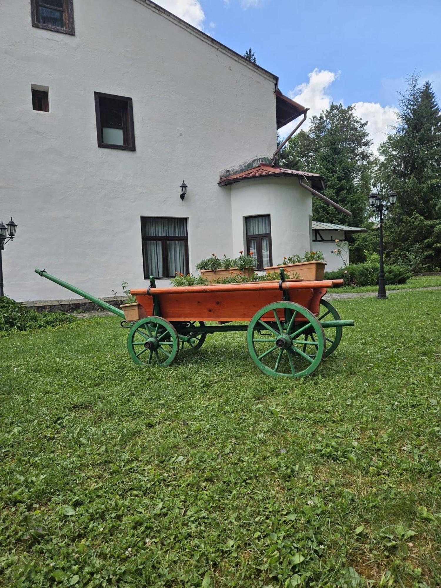 Pensiunea Rhein Azuga Buitenkant foto